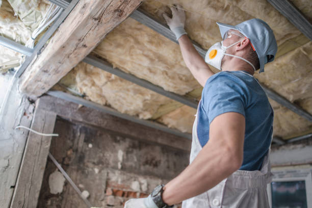 Best Best Insulation Companies  in Lewiston, UT