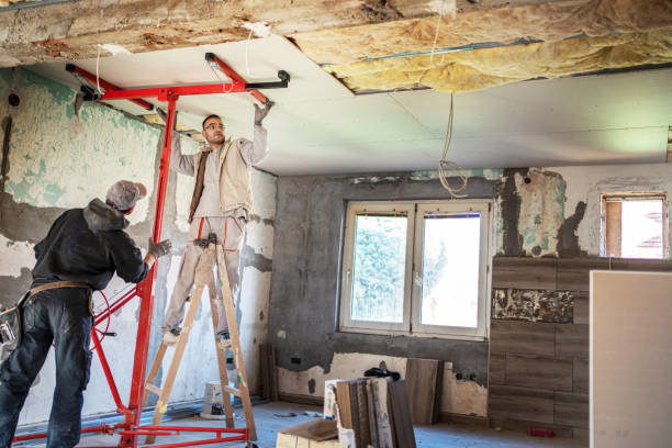 Best Insulation Contractors for Homes  in Lewiston, UT