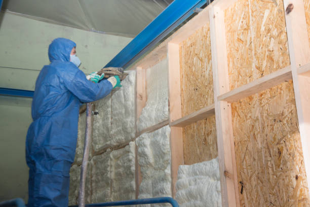 Best Affordable Insulation Services  in Lewiston, UT