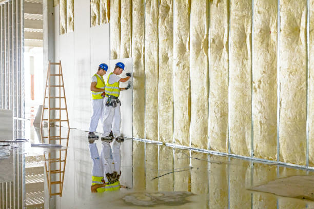 Best Insulation Replacement Services  in Lewiston, UT